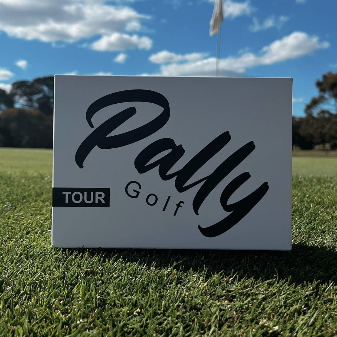 Pally Tour Subscription