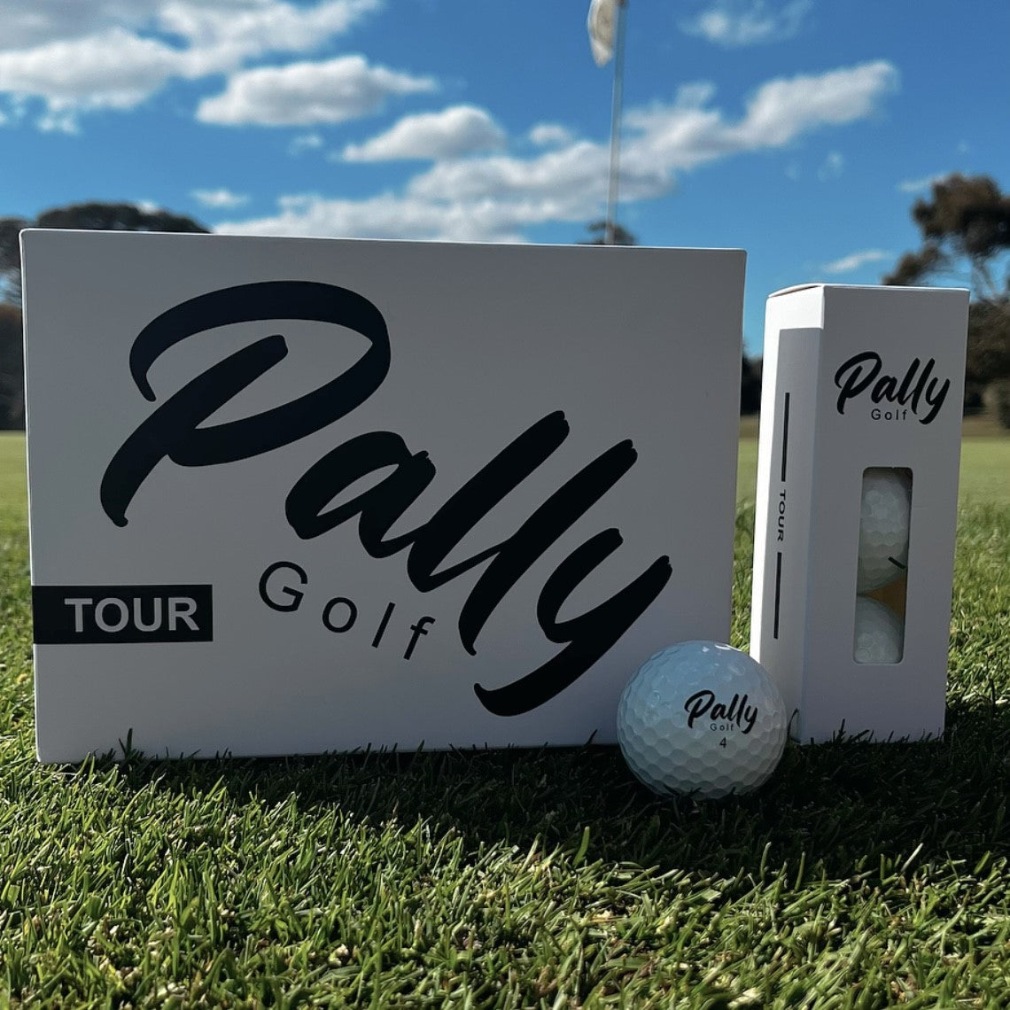 Pally Tour Subscription